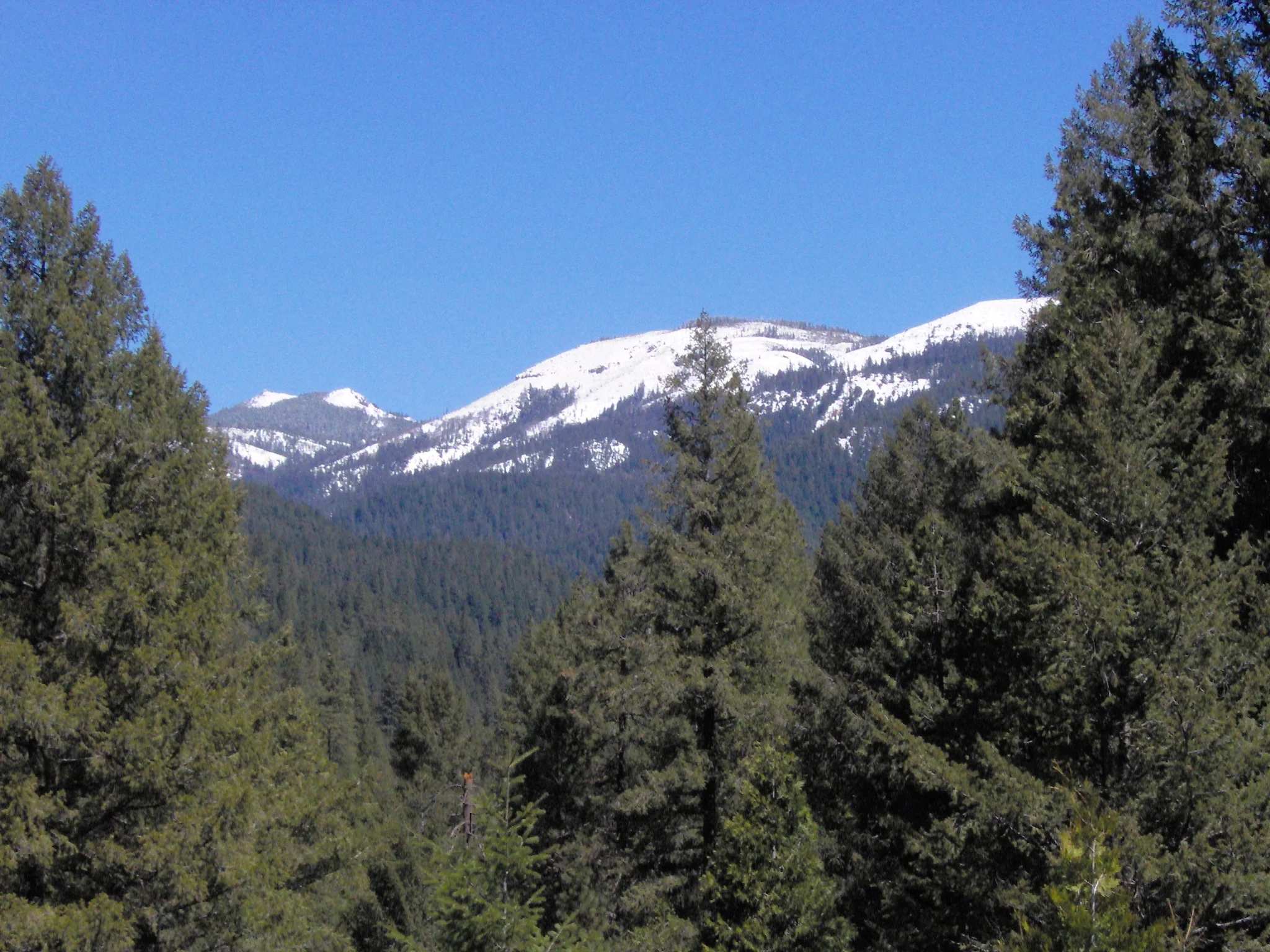 Forested Sierra Nevada valley and Fir Cap Mountain